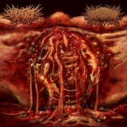 Coagulated Innards Collapsing Mold Infected Torsos : Cradle of Incest - CICMITIAGBTSFTUCEFSFIVSP